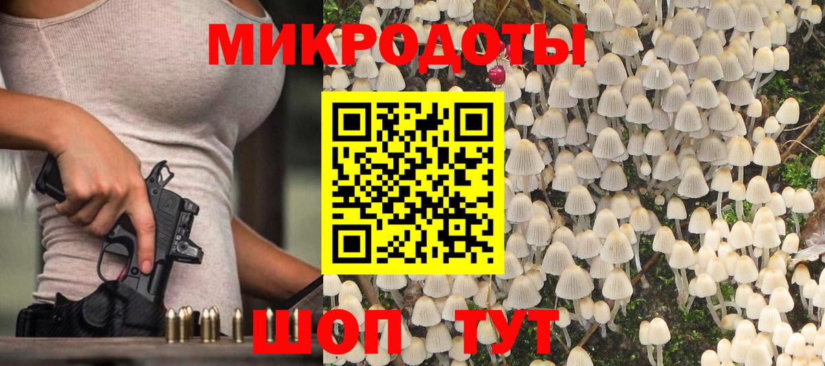 Заинск  Псилоцибиновые грибы Psilocybine cubensis  Псилоцибиновые грибы Cubensis  Вход с VPN 